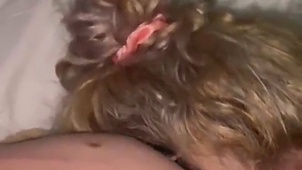 Mijn Excuses, Mijn Lief. Sta Me Toe Je Te Plezieren Met Mijn Mond En Tong Op Je Penis